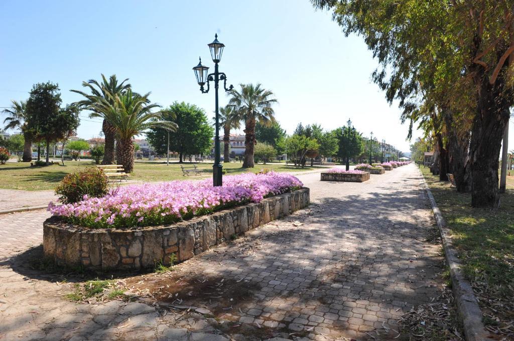 Hotel Eleni Paralia Dionysiou Esterno foto